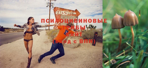 спайс Балахна